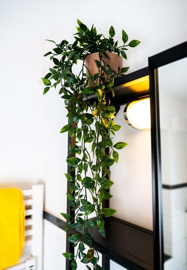 Apartamento Spacious In Urban Location